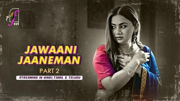 Jawaani Jaaneman Part 2 2025 Feelapp Hindi Web Series