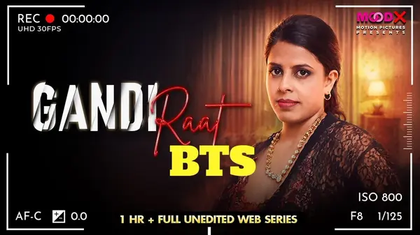 Gandi Raat 3 BTS 2026 MooDX Hindi Video HD